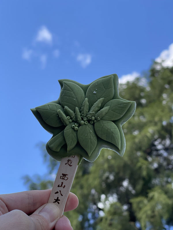 点击图片可跳转至下一页