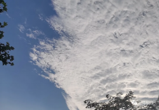 6月25日前 松江都是大 洗 之日 宜洗晒