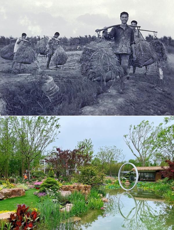 小鎮迎來一批特殊的遊客——幾十年前,他們或是在上海東風農場勞動的