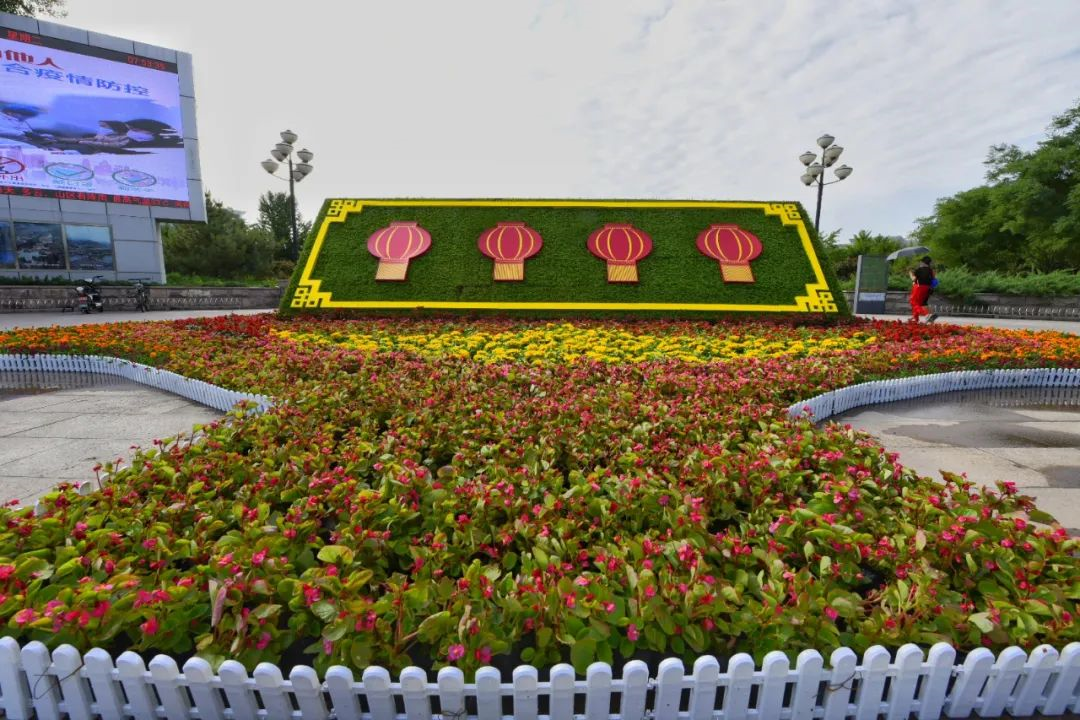 庆"七一"主题花坛亮相昌平街头,快来打卡!