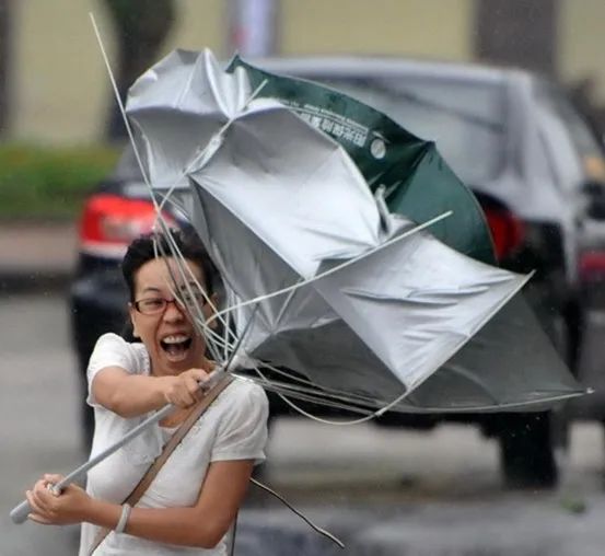 下雨挨浇图片