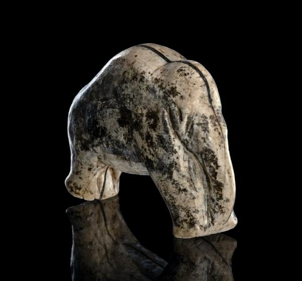 洪堡论坛开幕展览之一“可怕的美：大象、人类、象牙”展品