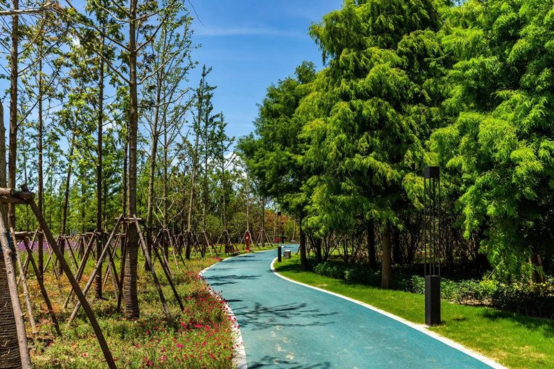 绿色福利生态惠民 金山新城再添一座九万余平方米新公园