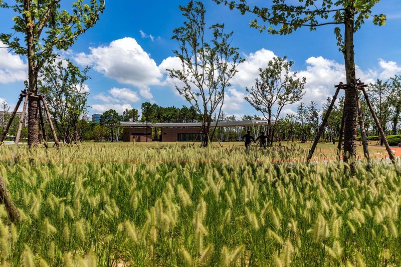 绿色福利生态惠民 金山新城再添一座九万余平方米新公园