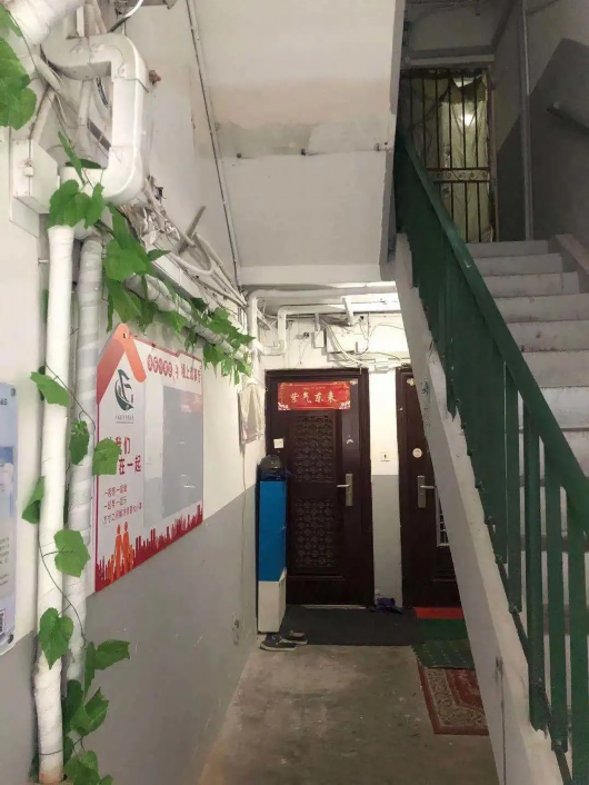 普陀这个楼道美得让居民舍不得搬家