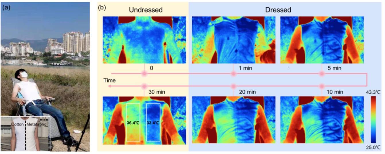 超材料织物与棉对人体体表降温对比测试（西双版纳，2020年12月13日）。 (a) 人体体表降温测试照片；(b) 人体体表降温对比测试红外图（左边为棉，右边为Metafabric）