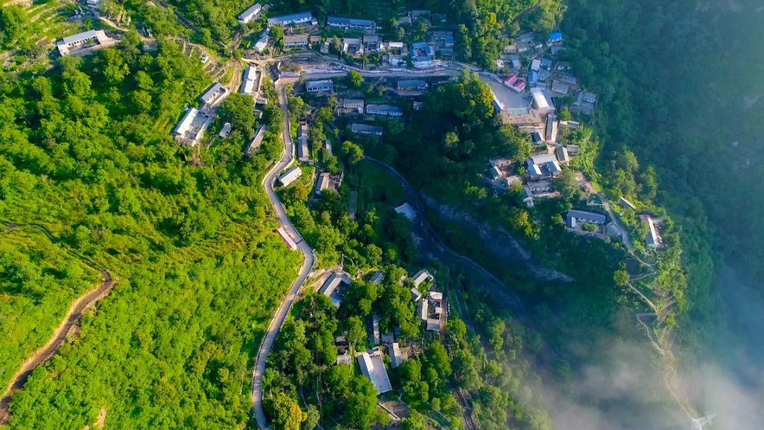 大安山乡中山村:履职践承诺,开门办实事!