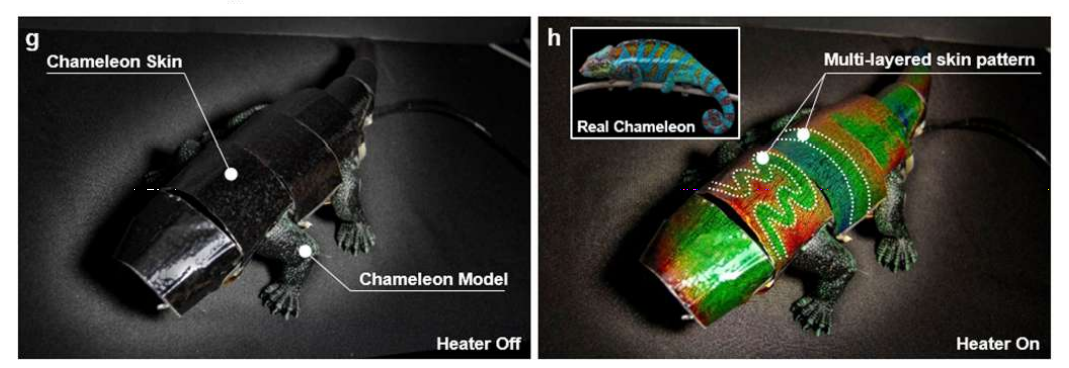 g,具有 7 个高度灵活的多层ATACS 贴片的变色龙模型 h,在变色龙模型上演示图案花纹
