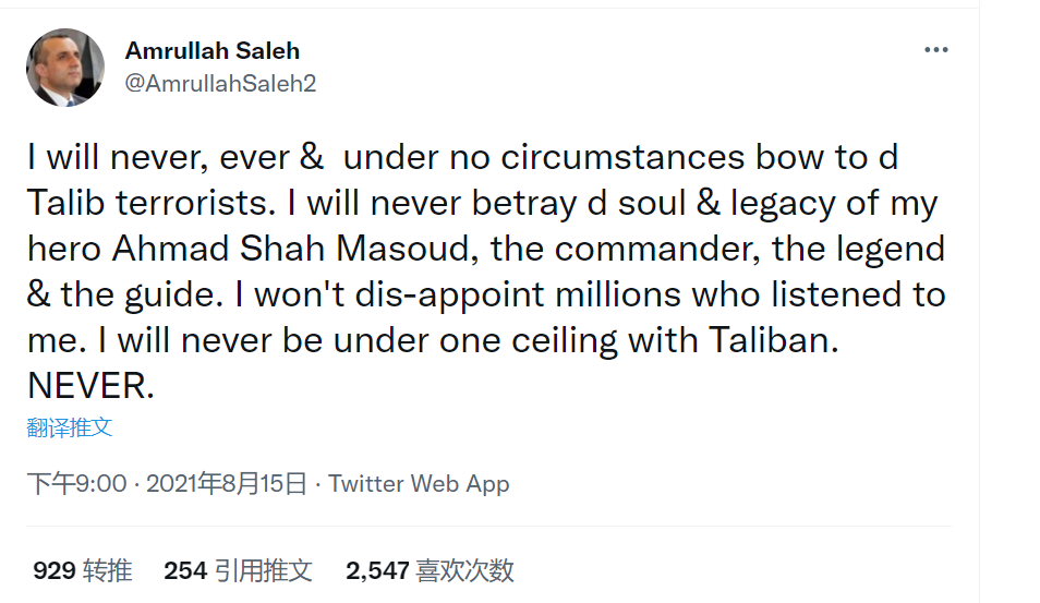 阿姆鲁拉·萨利赫（Amrullah Saleh）推特截图