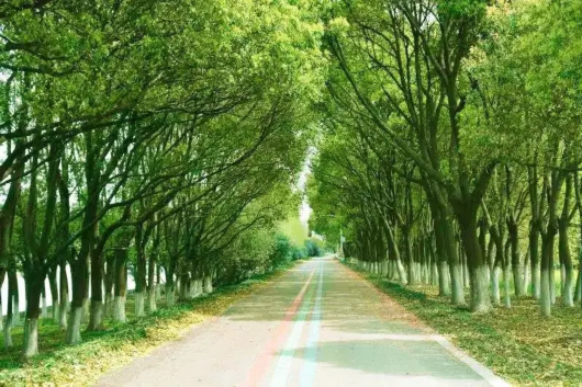 不惧 秋老虎 到这些地方感受清凉之意