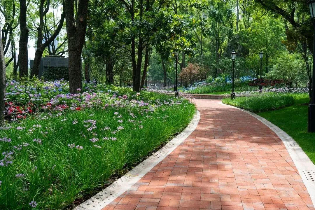 漫步黄浦林荫道:黄陂南路篇