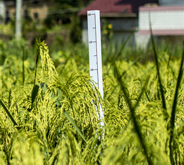 nei 8279963ee71740_副本.jpg