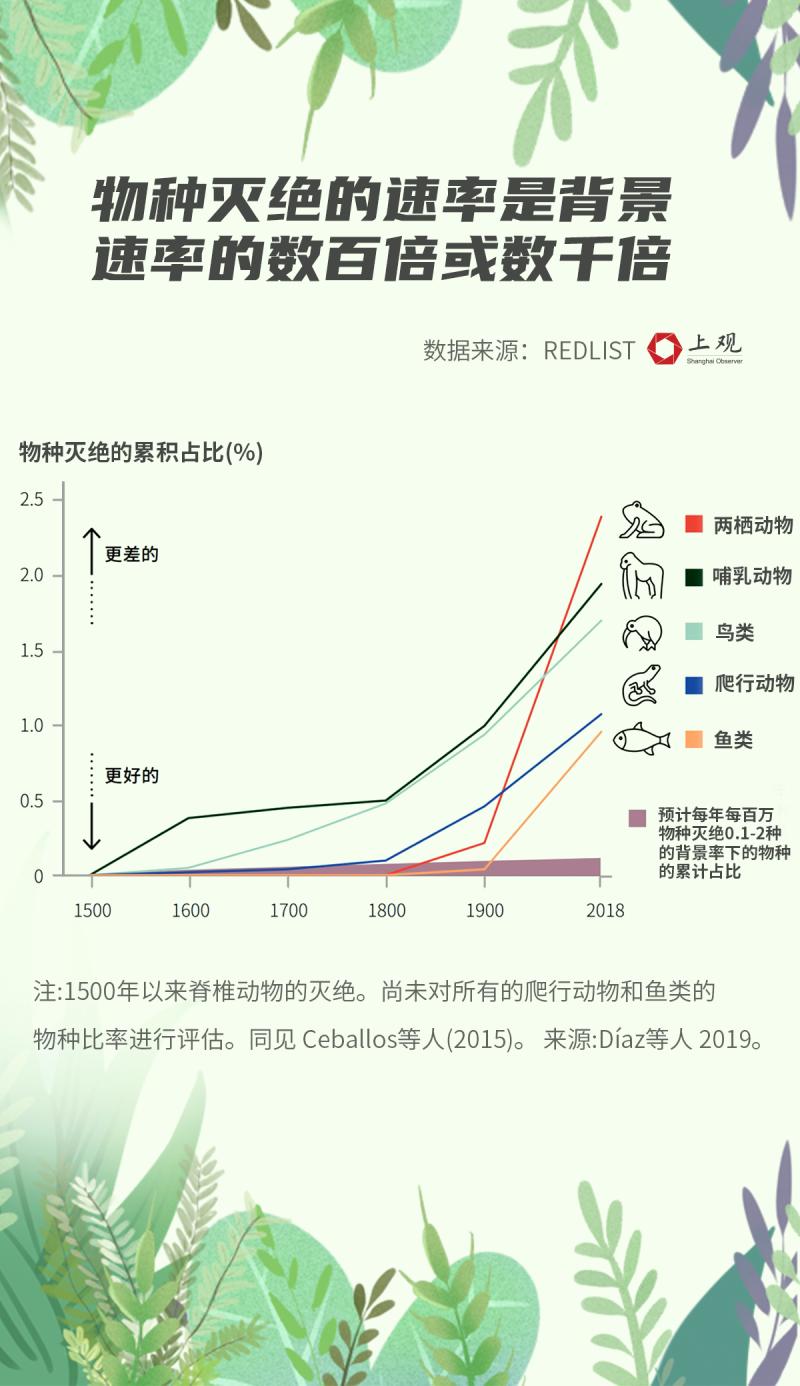 物种灭绝 趋势图片