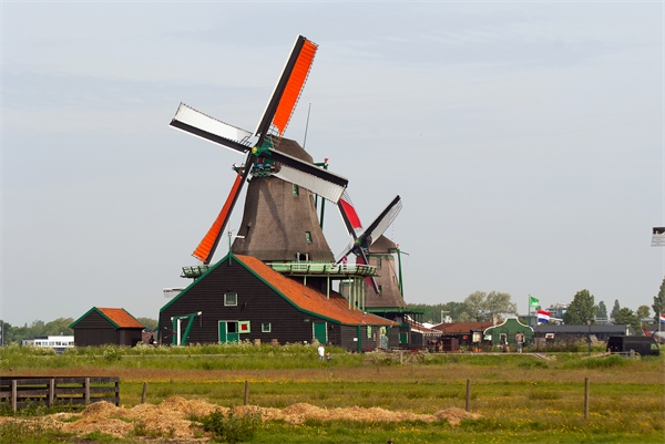 荷兰人平均身高图片