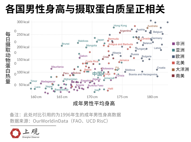 荷兰男性全世界最高 但过去35年身高增幅全球第一的 是中国男人