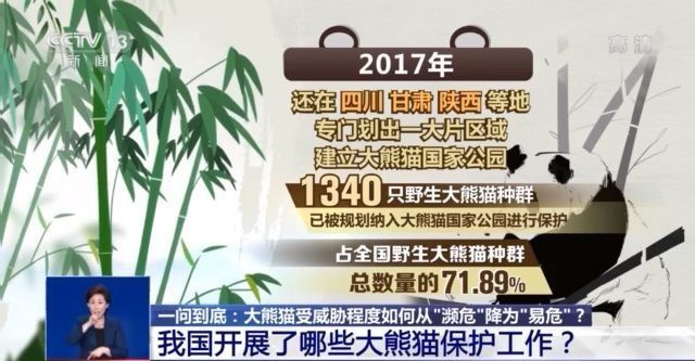 大熊猫国家公园面积图片