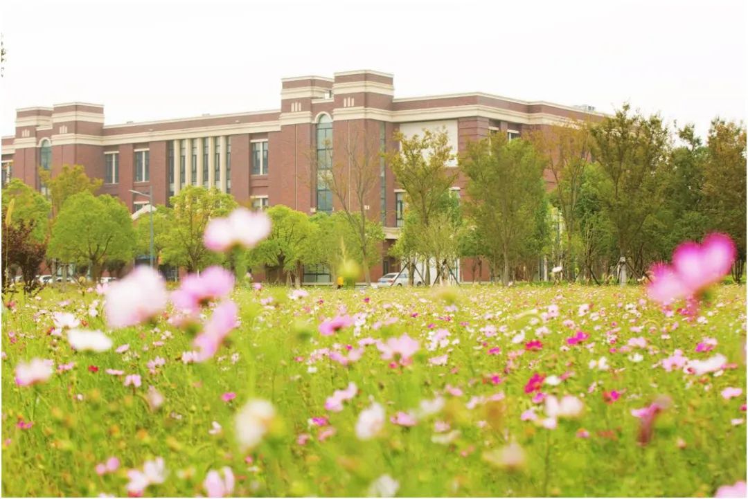 上海海關學院活動中心門前草坪銀杏樹上海科技大學圖書館秋景教授公寓