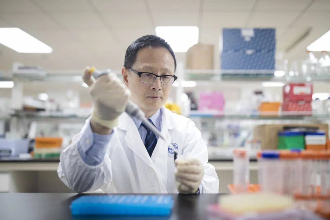 上海市自身免疫性疾病临床医学中心主任、上海市风湿病学研究所所长沈南