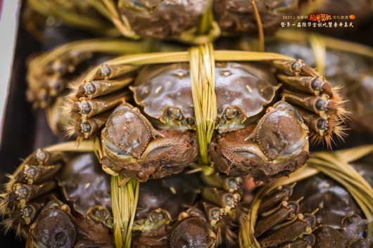 崇明这个地方正在打造 上海蟹港 未来将实现 1只蟹变10只蟹