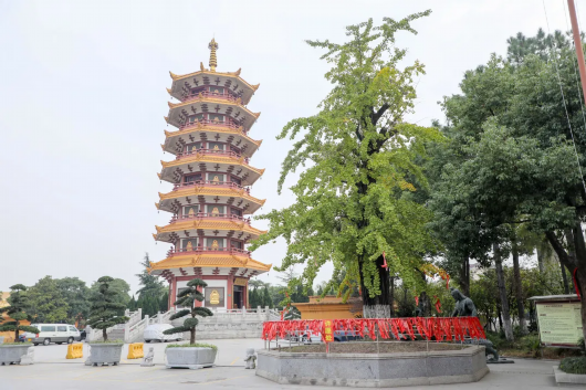 氽来钟、金字莲花经？七宝的由来，原来在这里！