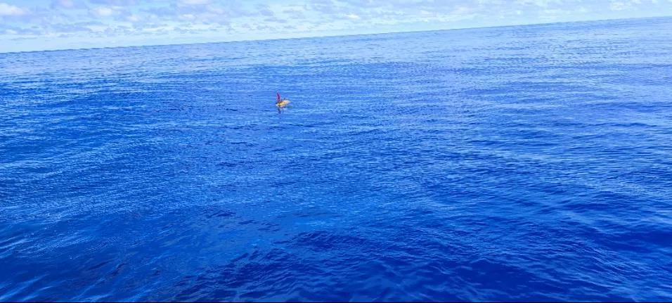 海面上等待回收的AUV