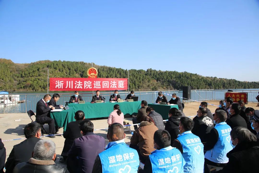 河南淅川夫妇3个月猎杀8头野猪被判缓刑,称庄稼被糟蹋严重