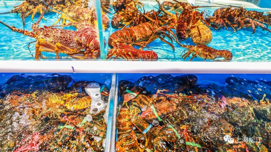 乐都甜品团购网站在哪的简单介绍