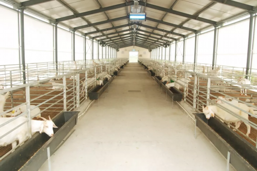 寒潮来袭,这份农业防寒防冻指南请收藏!