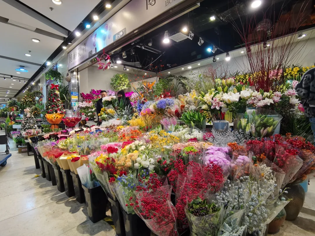 花开富贵 古北花卉市场的 年宵花 争奇斗艳