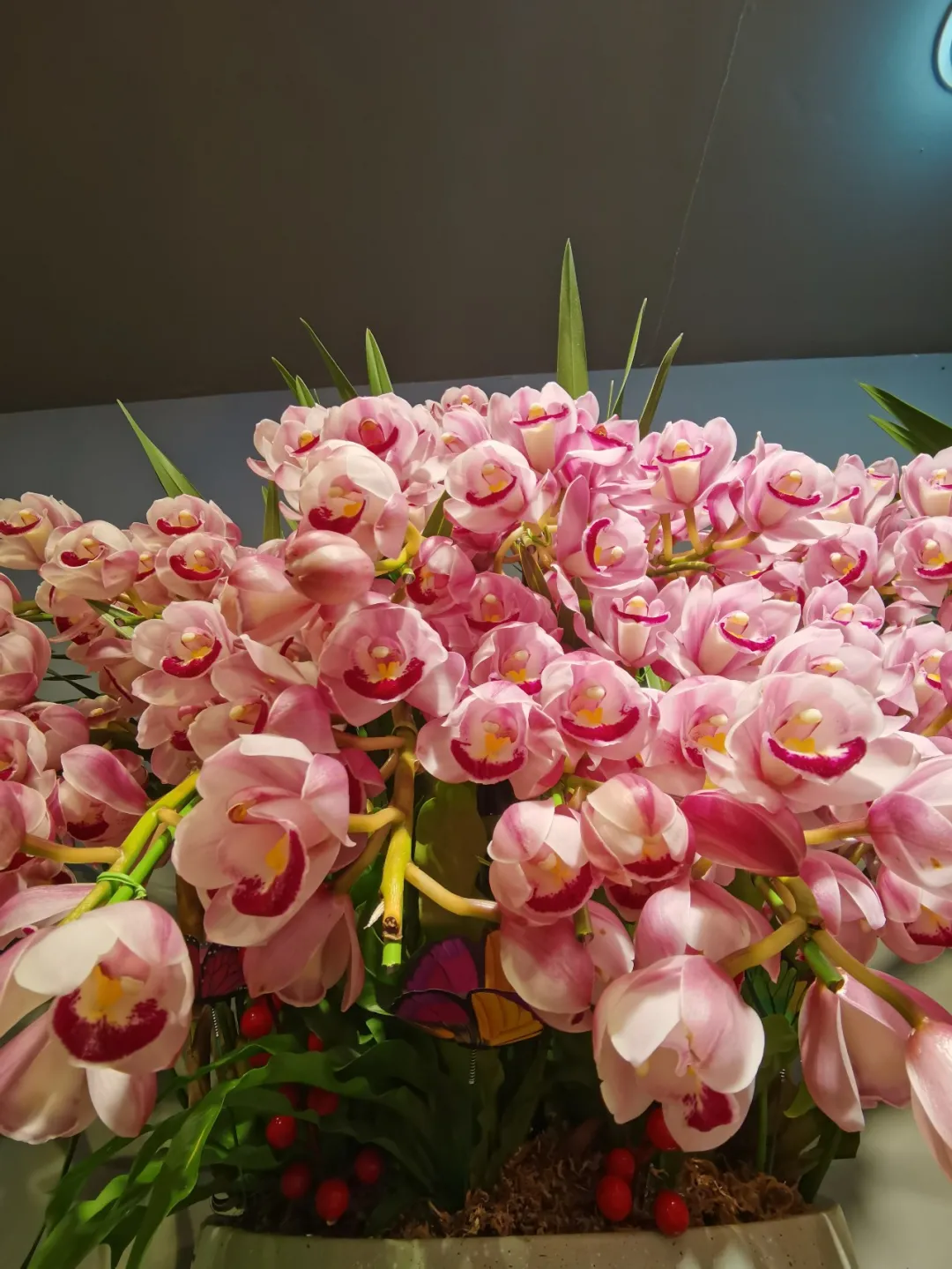 花开富贵 古北花卉市场的 年宵花 争奇斗艳