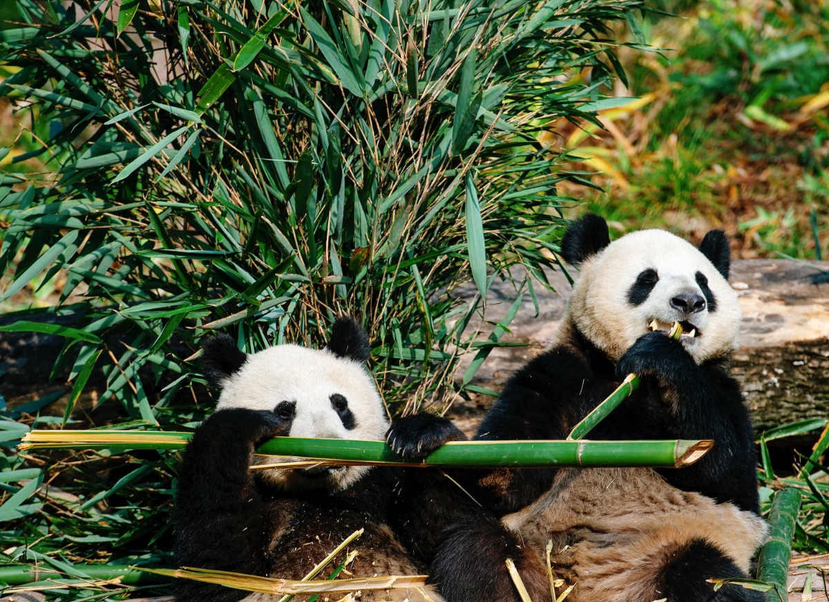 点击图片可跳转至下一页