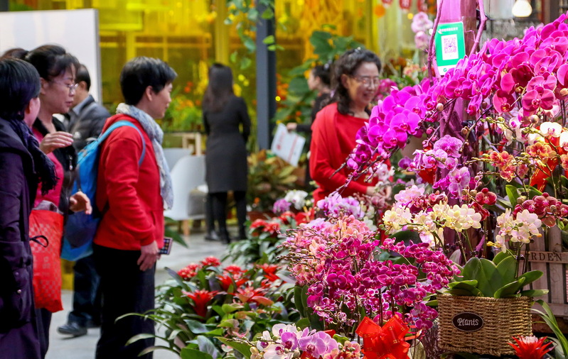 水仙 蝴蝶兰 仙客来 马蹄莲 你最爱的年宵花是哪一种