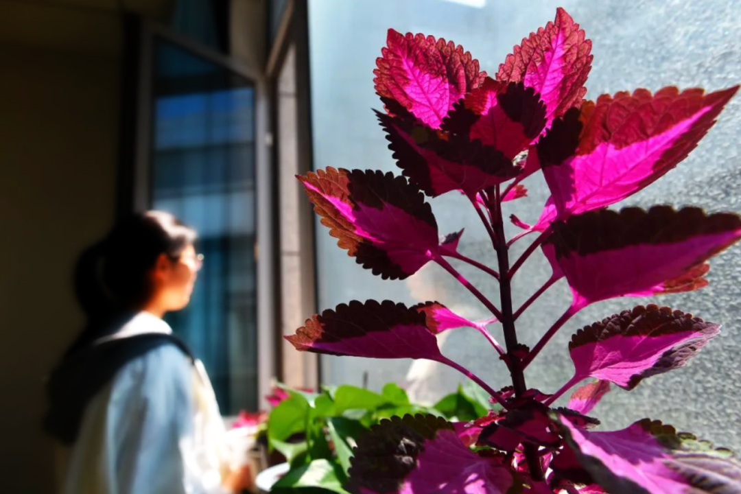 一位抑郁症患者在医院精神卫生科候诊。 “半月谈”微信公众号 图