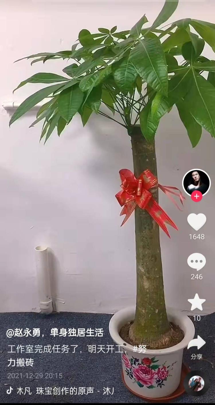 赵永勇的工作室刚刚开业