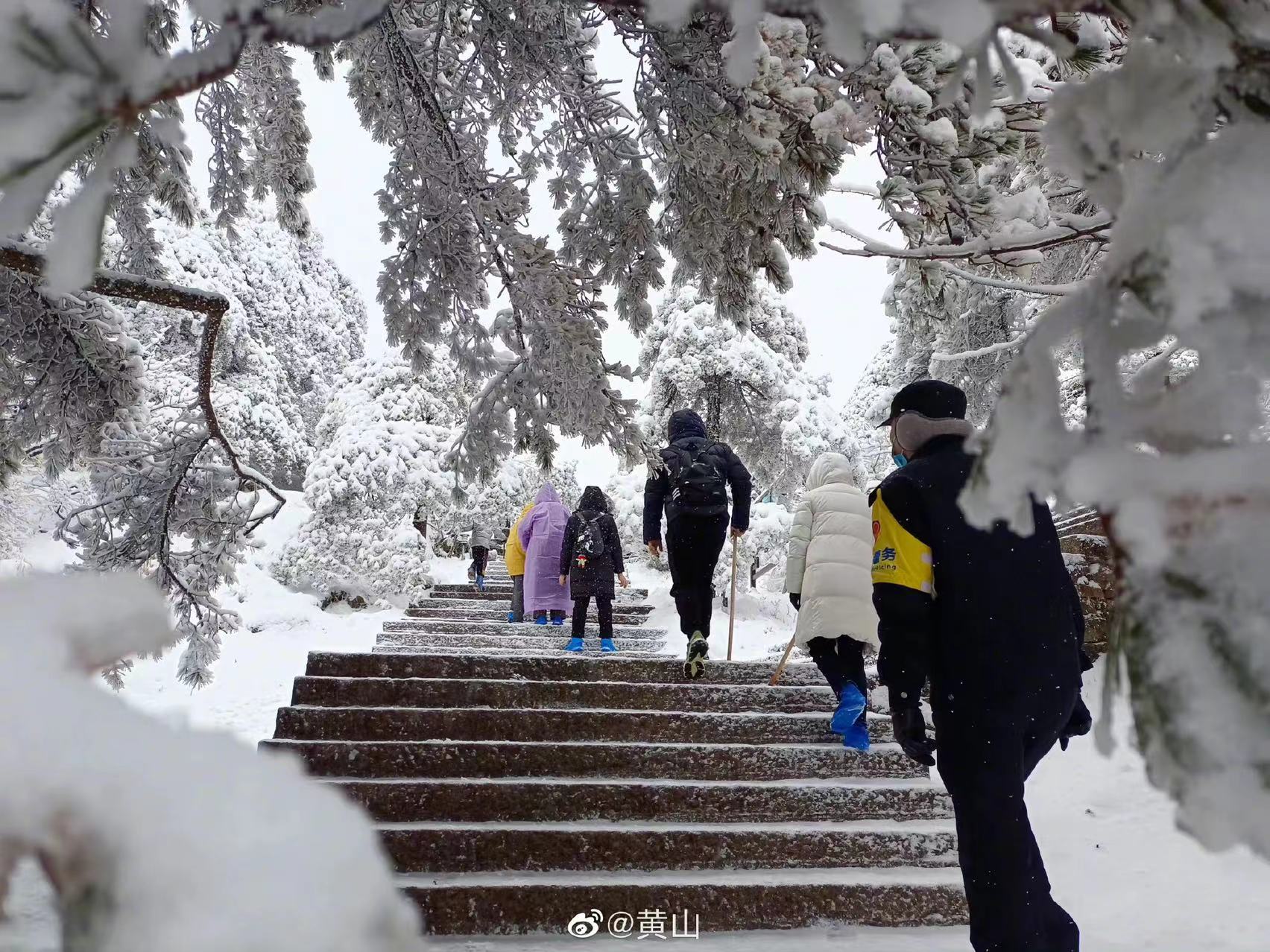 黄山雪景 来源：中国黄山风景区官方微博