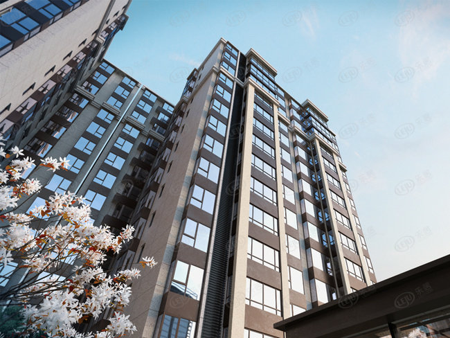 璞玉one摇号排序结果公布