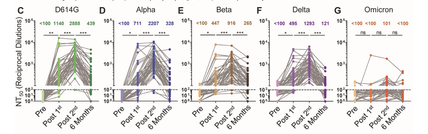 五种新冠毒株在不同时间点的NT50水平情况对比  本文图均为 研究论文 图