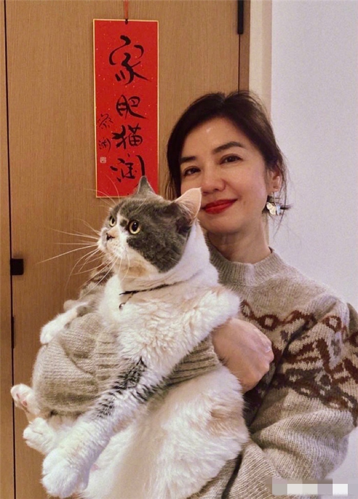 E7CCE16D-2827-4B58-9EE8-CBEA43D2612B