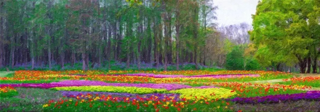 等待一片花海 共青森林公园这里 蓄势待发 清明前后将美如油画