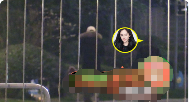 杨幂与年轻男子同回小区 对方疑似郭敬明助理