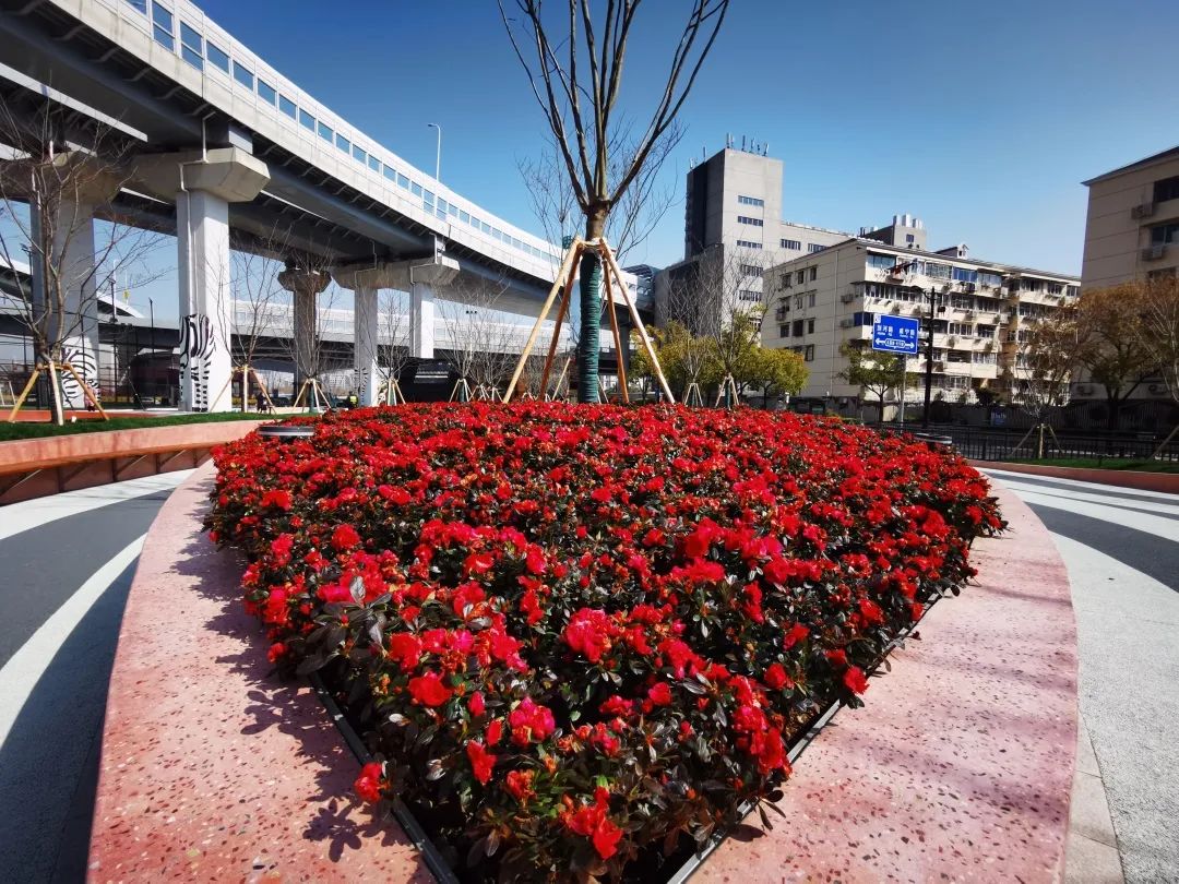 长宁中环桥下新建的这个 街心花园 对外开放