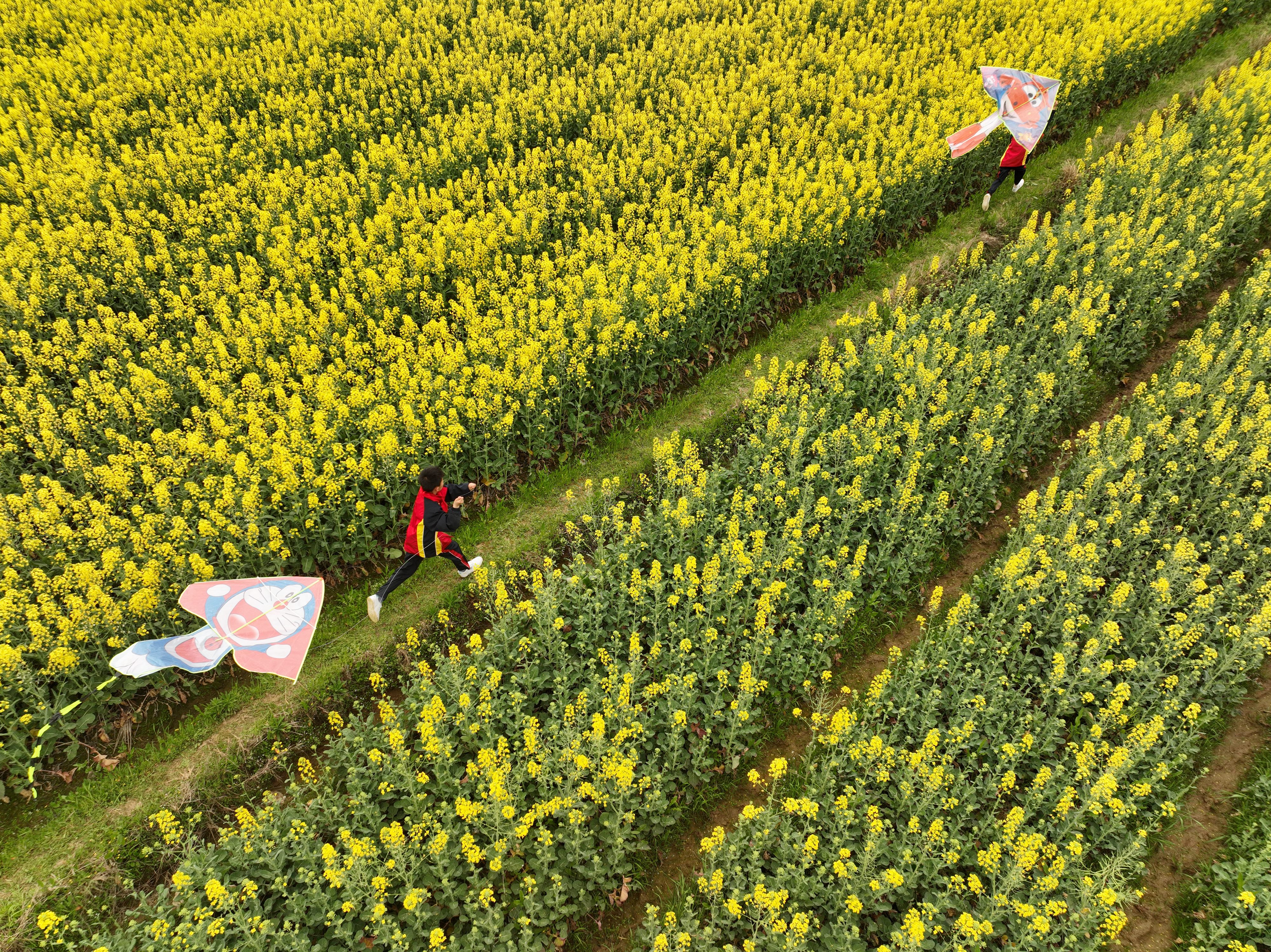 春季美丽生态 16 春暖花开醉游人