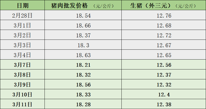 近两周猪肉价格  制表  澎湃新闻