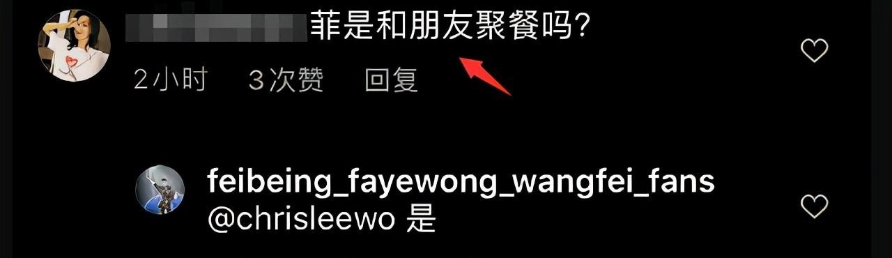 王菲与男性友人同框保持安全距离 刘海短发造型气质在线