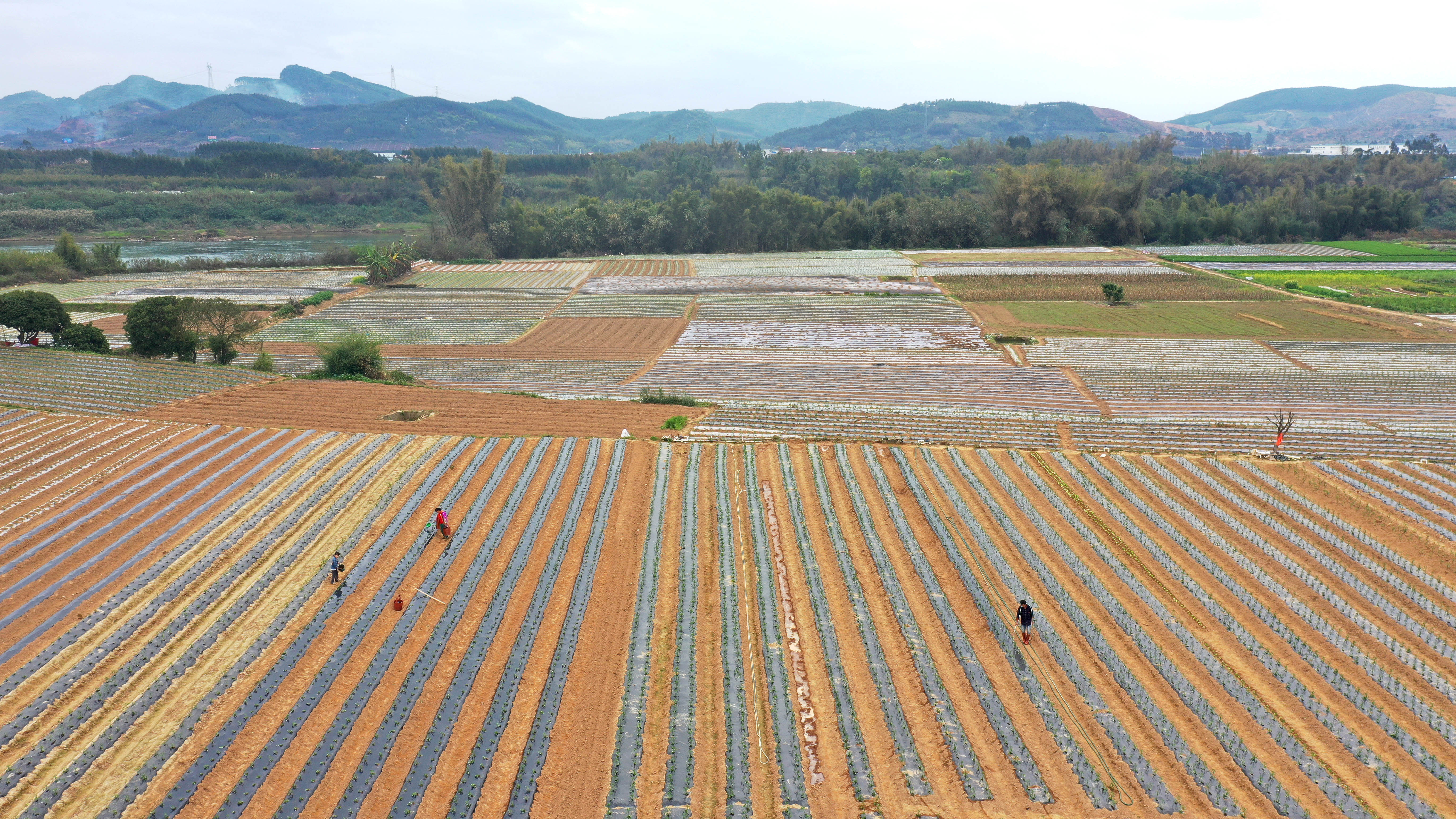 社会 5 春暖花开劳作忙