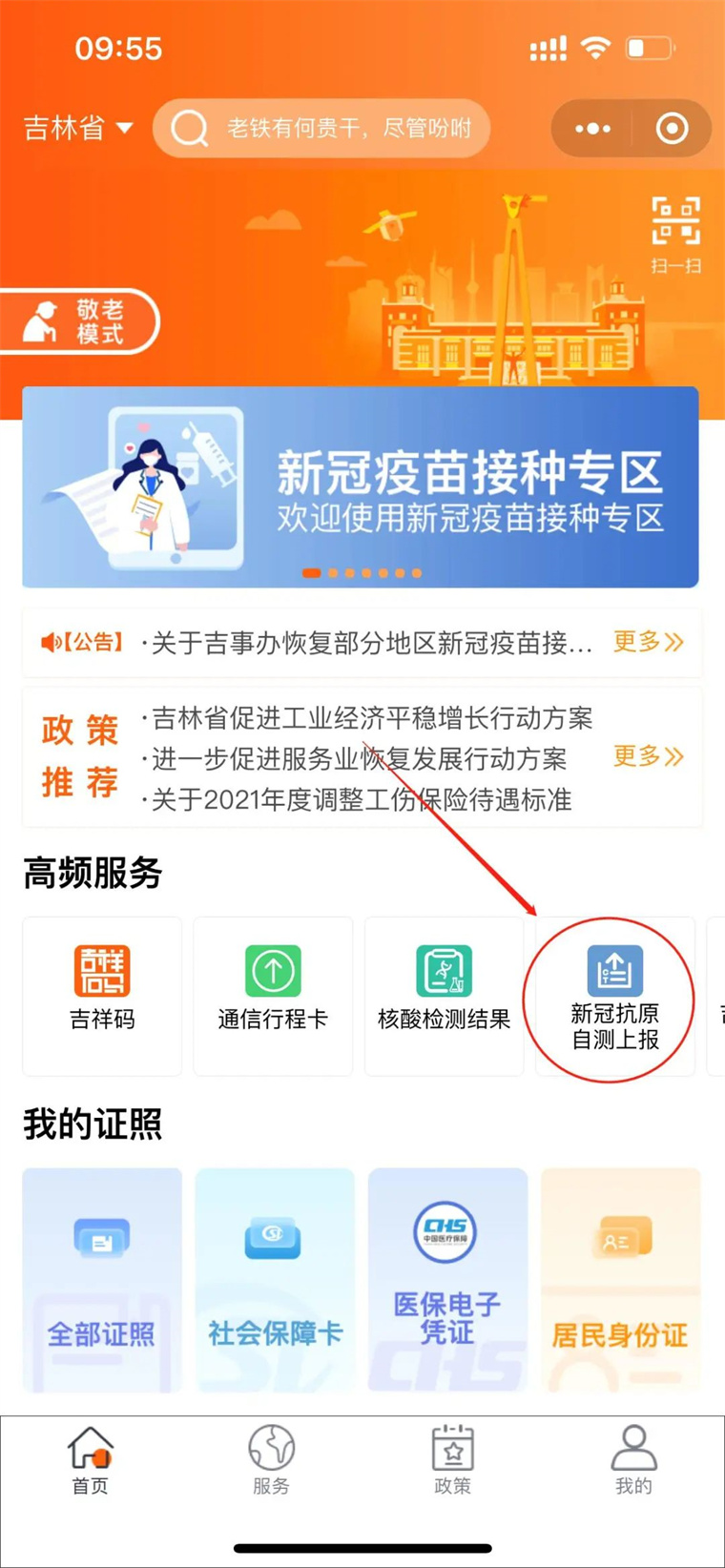 吉林省政府网站 图