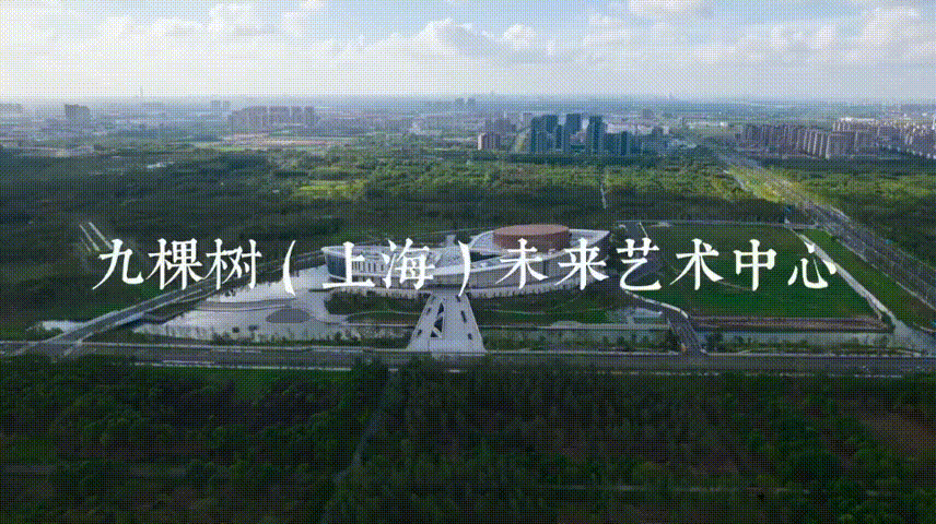 1900直播预告大幕落下的日子里九棵树做了这些事