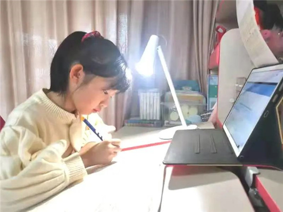 WDCM上传图片 WDCM上传图片