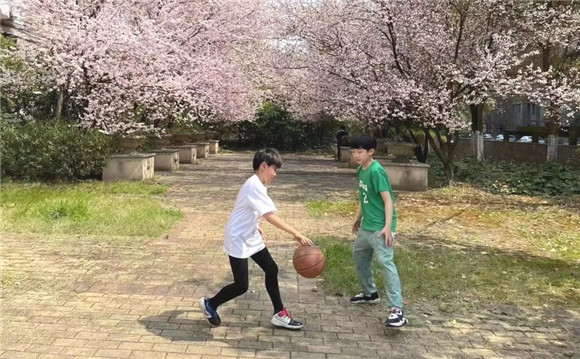 WDCM上传图片 WDCM上传图片