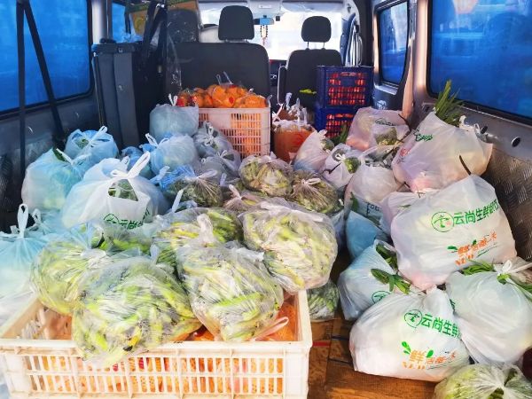 0323_105650667_601.jpg 蔡2.jpg